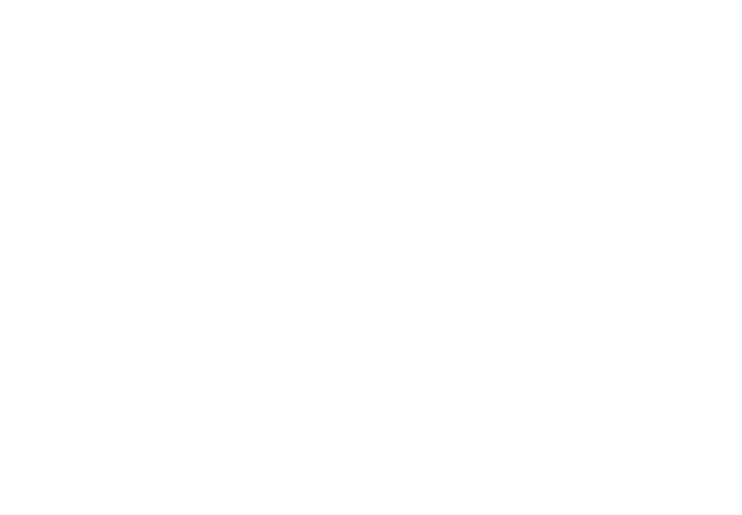 左側裝飾