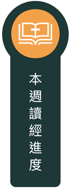 本週讀經進度